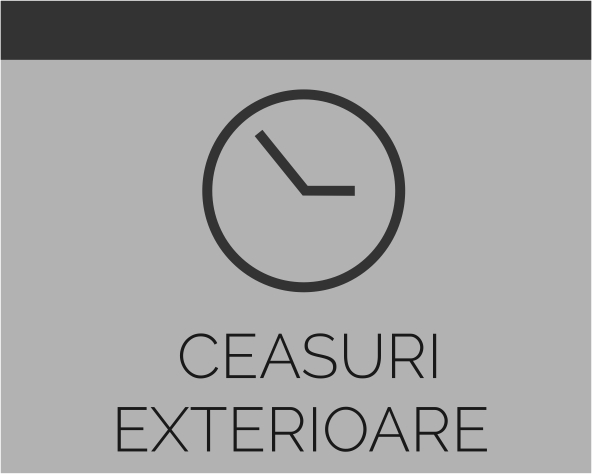 Ceasuri si afisoare
